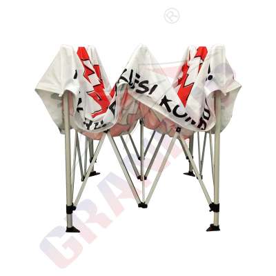 10x 10 Instant Pop Up Canopy/tent